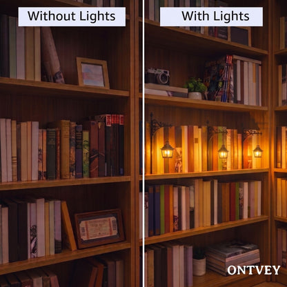 Bookshelf without and with lantern lights